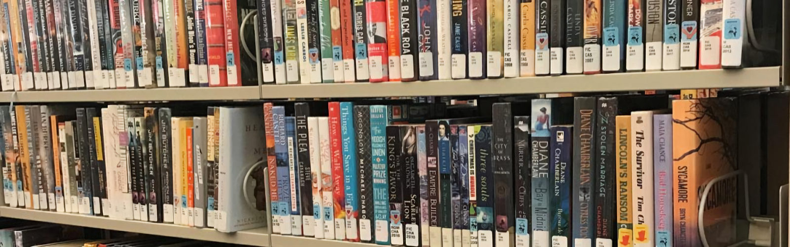 Library books on a shelf