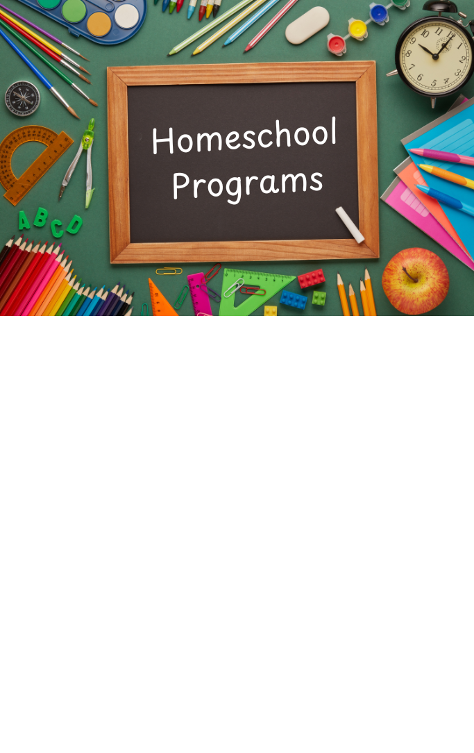 homeschool programs text printed on a mini chalkboard with green background, surrounded by school supplies