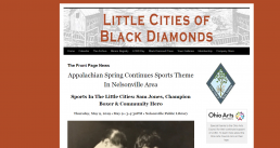 Little Cities of Black Diamonds screenshot